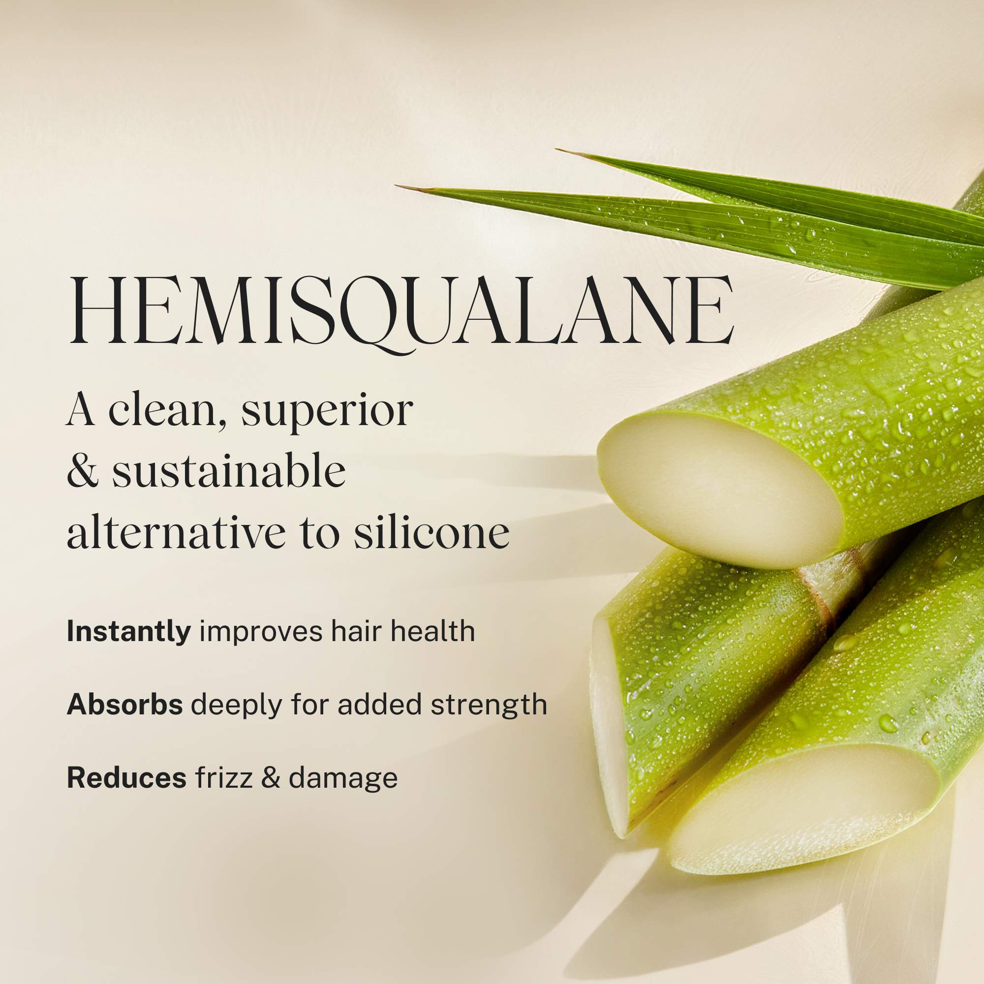 JVN sets product Holiday Root to Tip Duo Root to Tip Duo | Products For Dry + Damaged Hair | JVN sulfate-free silicone-free sustainable