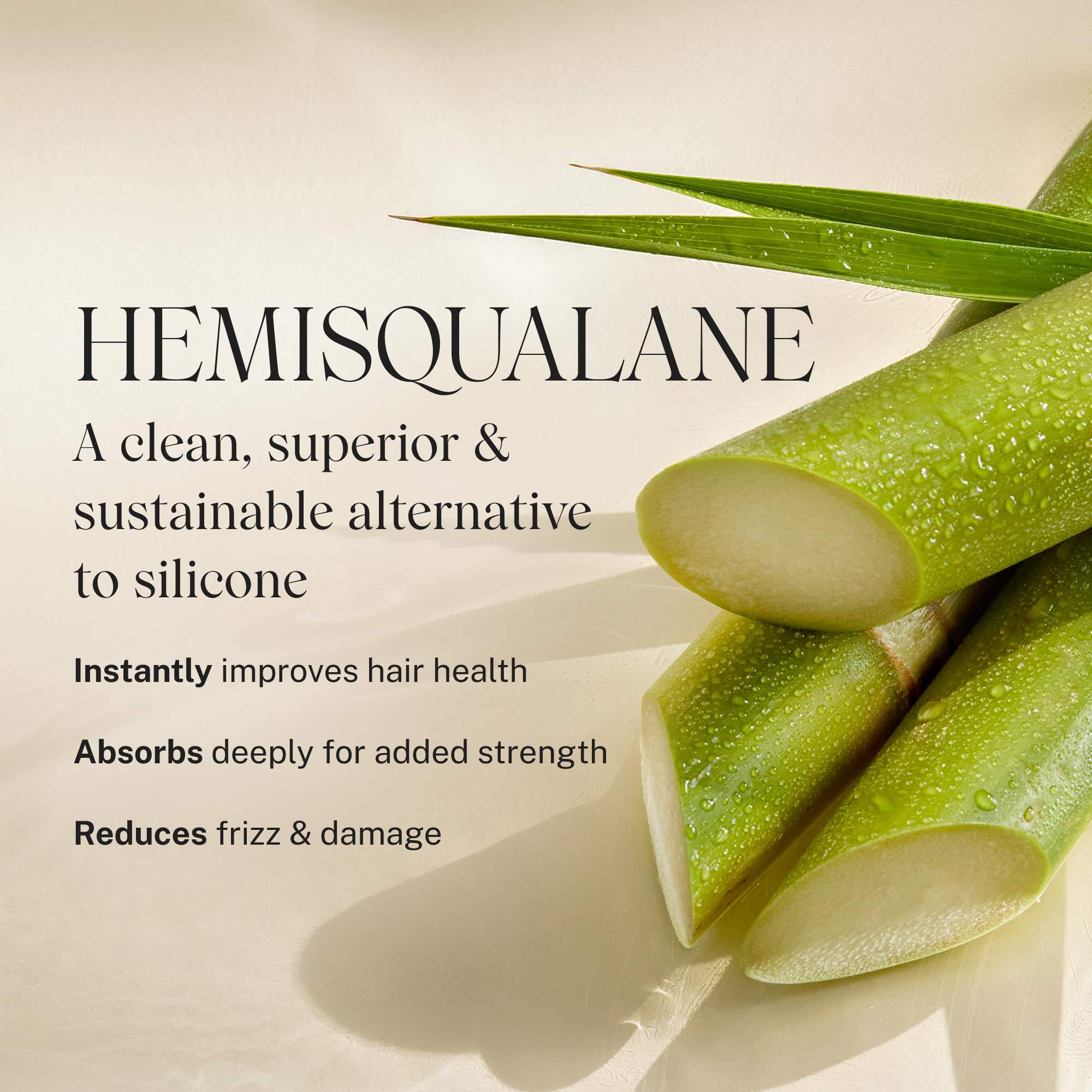 JVN Set Complete Hydration Set Complete Hydration Set | Hydrating Hair Products From JVN sulfate-free silicone-free sustainable